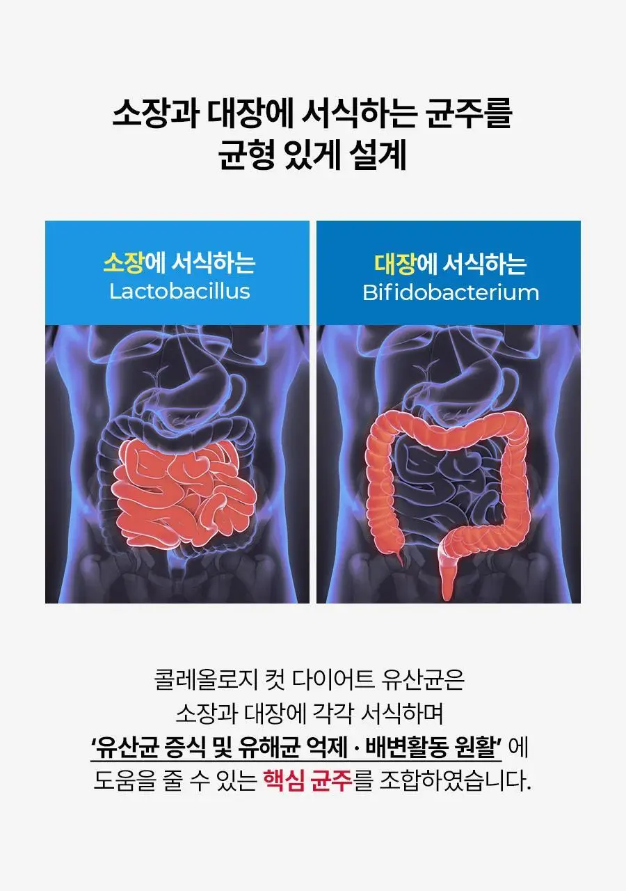 [1등 유산균] 콜레올로지 컷 다이어트 유산균 14/20캡슐 (7/10일분) 상세페이지 42